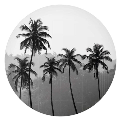 Plexiglasschilderij Palmbomen 70 Rond