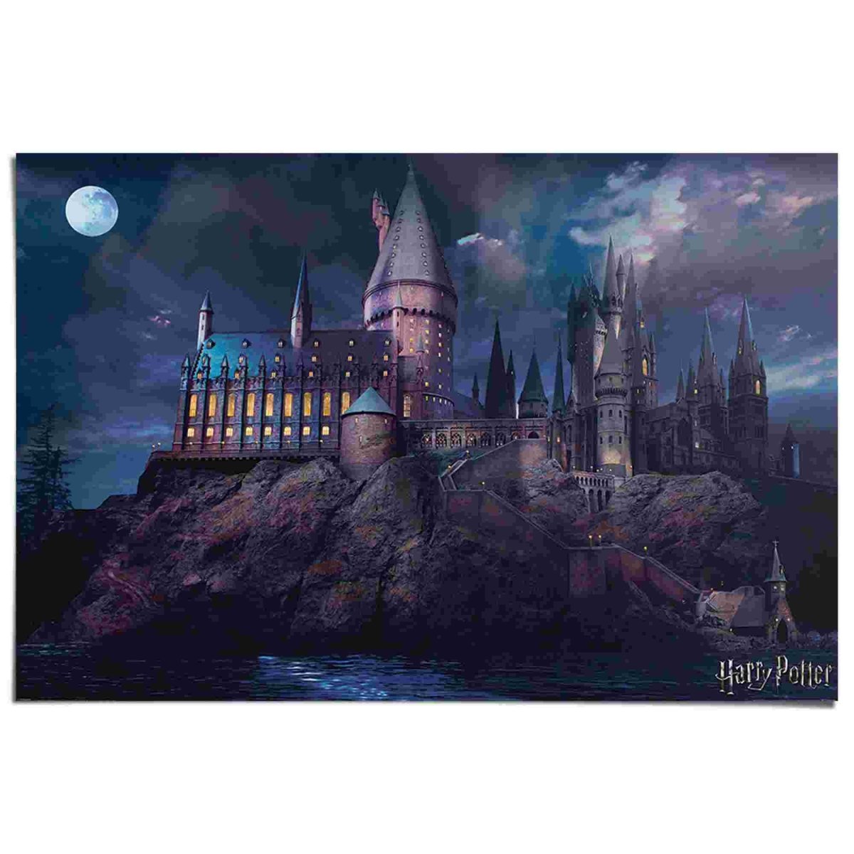 Poster Harry Potter 61x91,5 - Reinders
