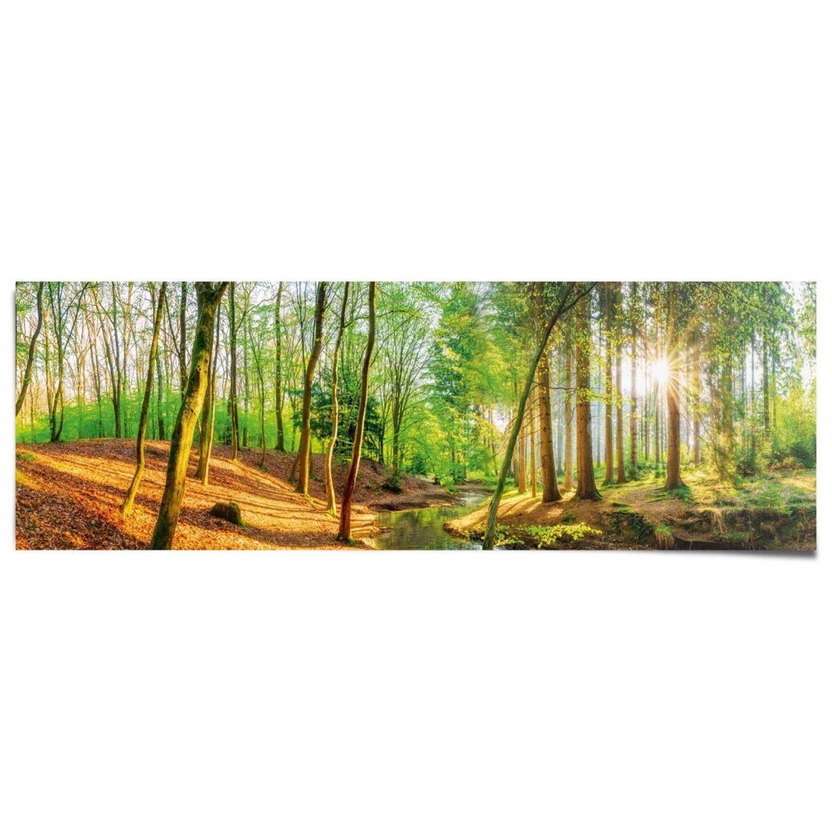 Poster Lentebos 53x158 - Reinders