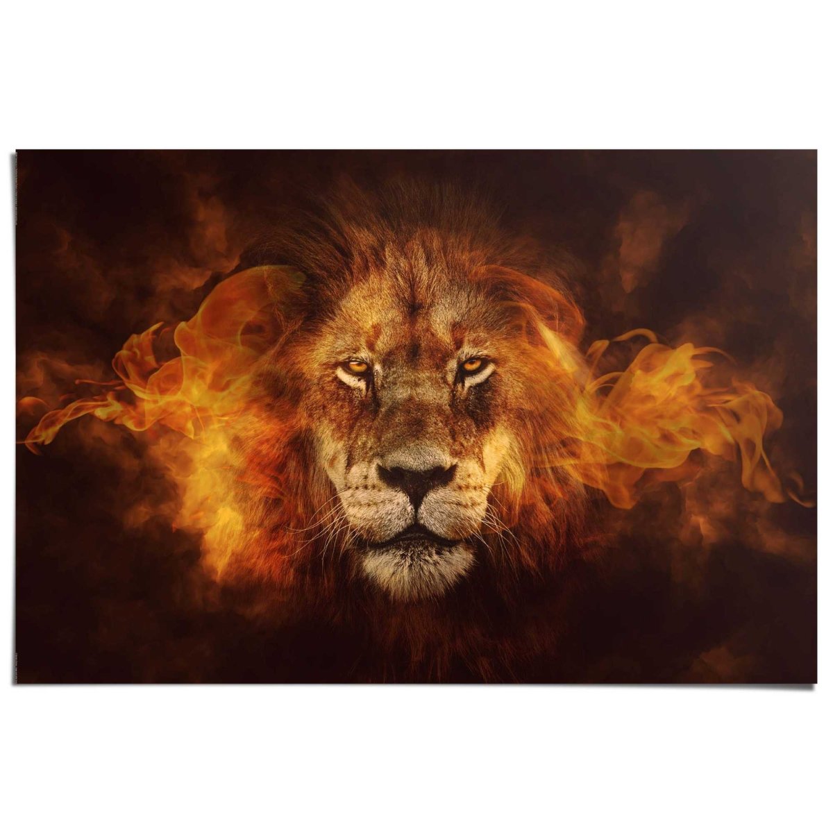 Poster Lion on fire 61x91,5 - Reinders