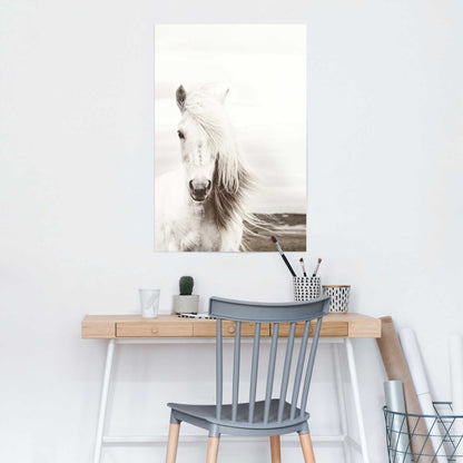 Poster Wit Paard 91,5x61 - Reinders