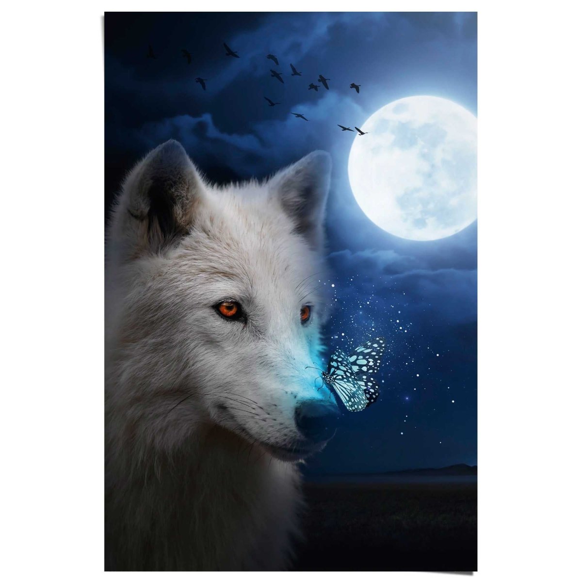 Poster Witte Wolf 91,5x61 - Reinders