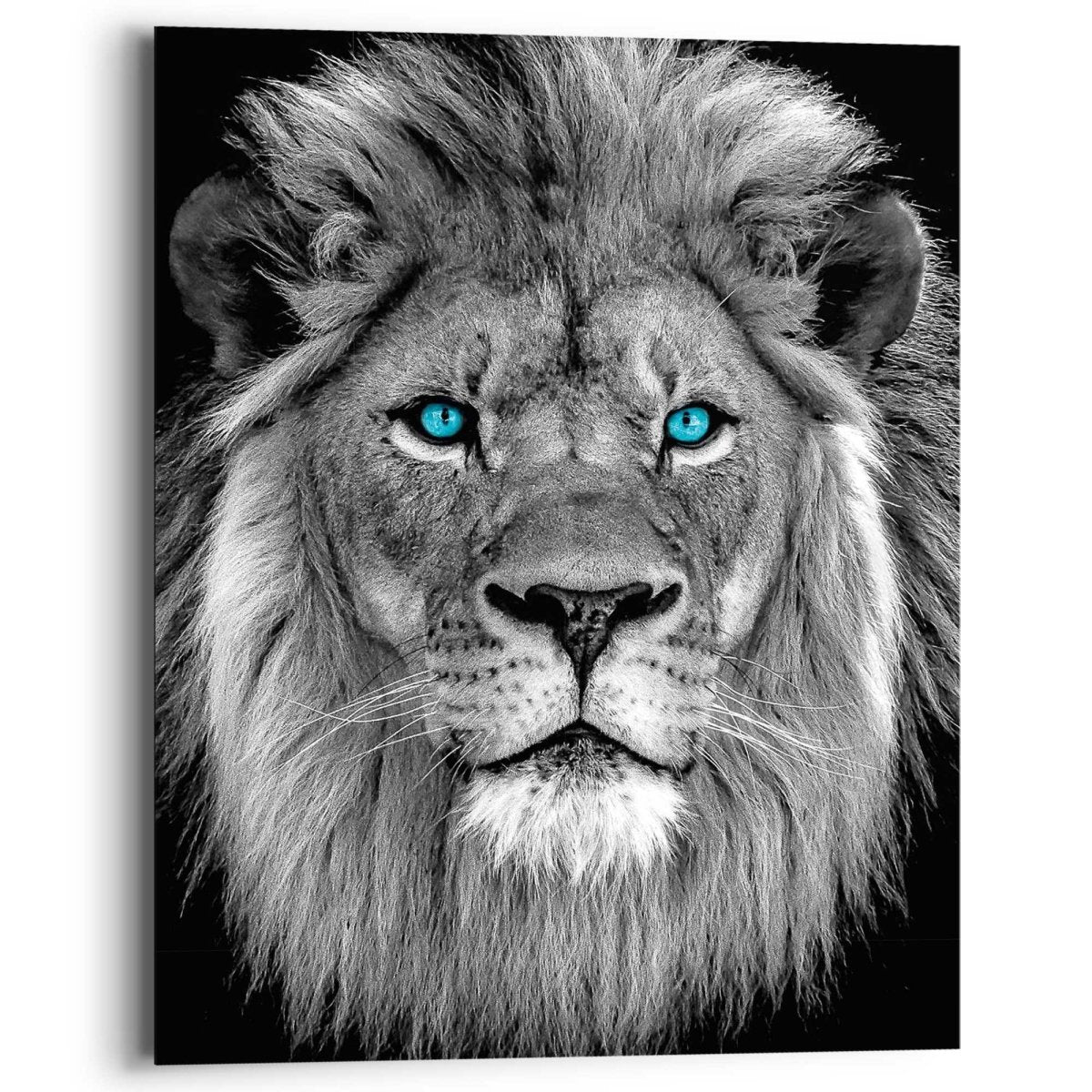 Schilderij Leeuw met blauwe ogen 50x40 - Reinders