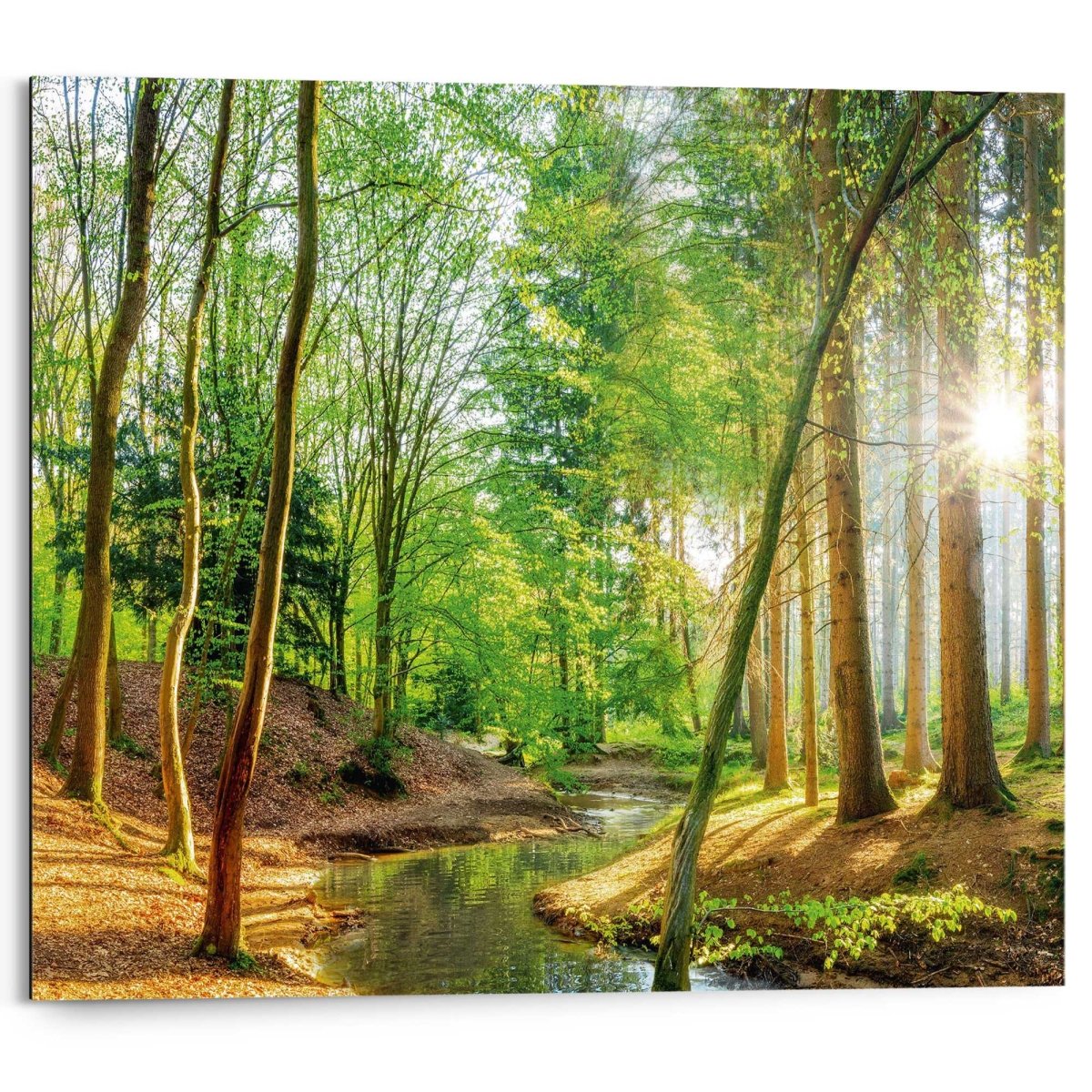 Schilderij Lentebos 40x50 - Reinders