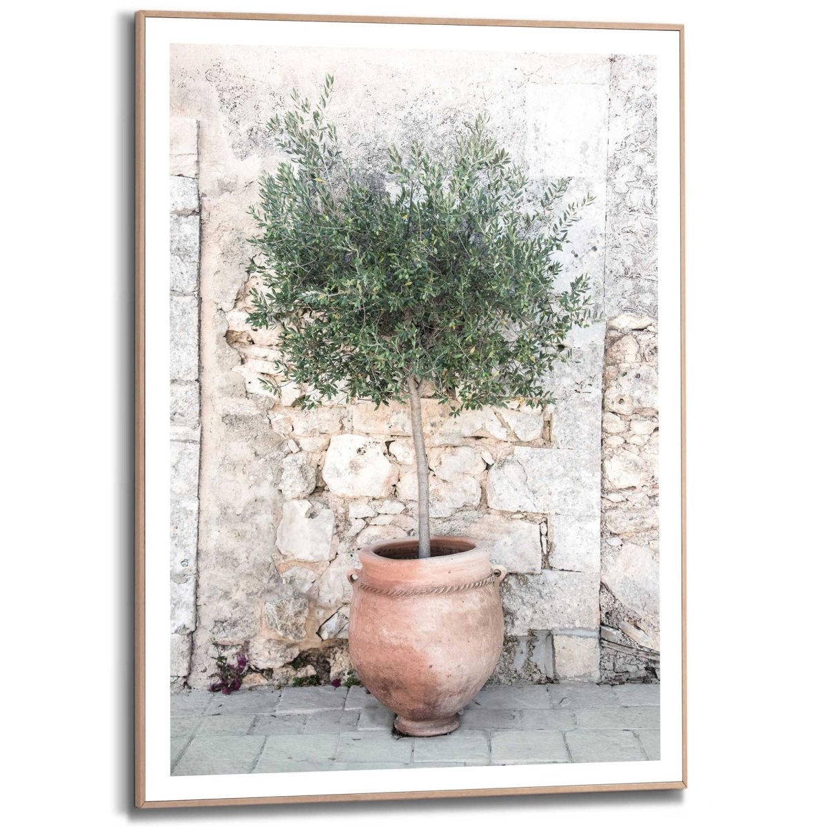 Schilderij Olive Tree 70x50 - Reinders