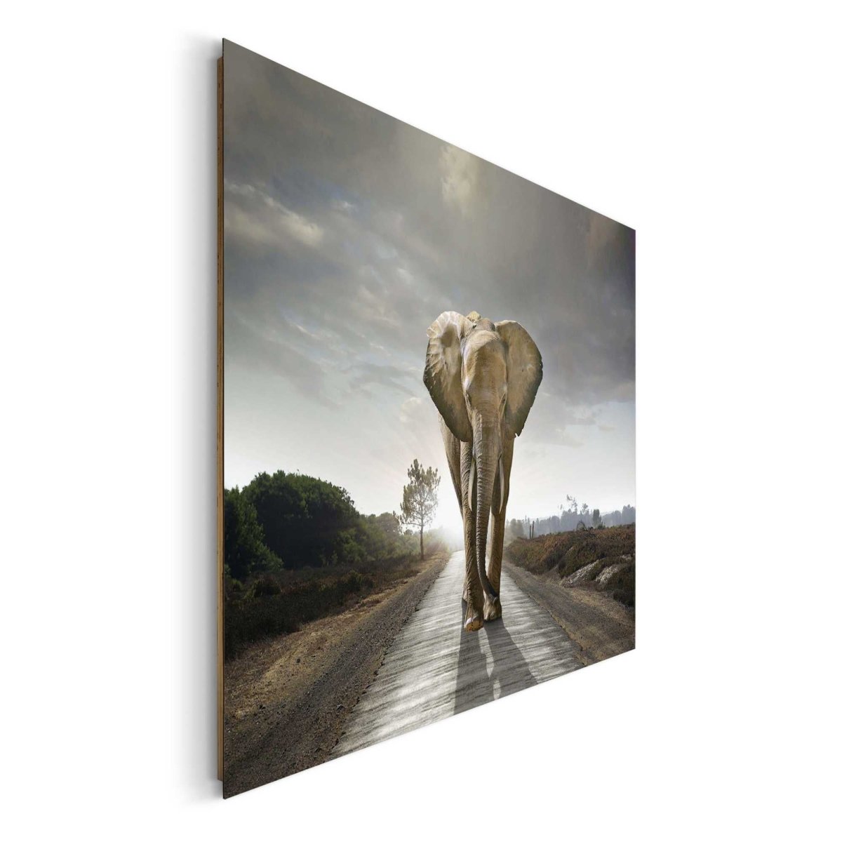 Schilderij Wandelende olifant 100x140 - Reinders