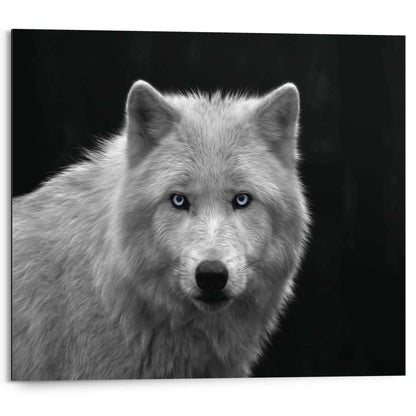 Schilderij Witte wolf 40x50 - Reinders
