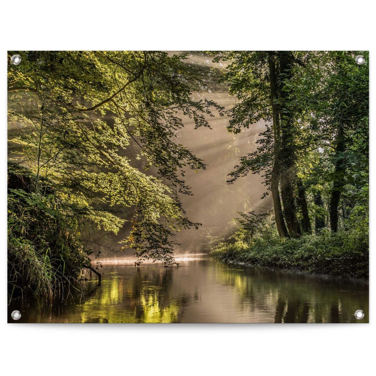 Tuinposter Beek in het bos 60x80 - Reinders