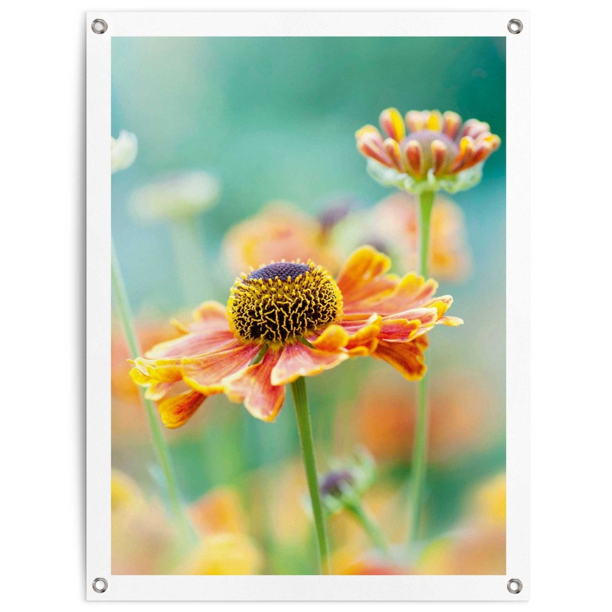 Tuinposter Bloem 80x60 - Reinders