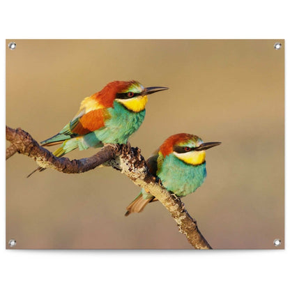 Tuinposter De Bijeneter 60x80 - Reinders