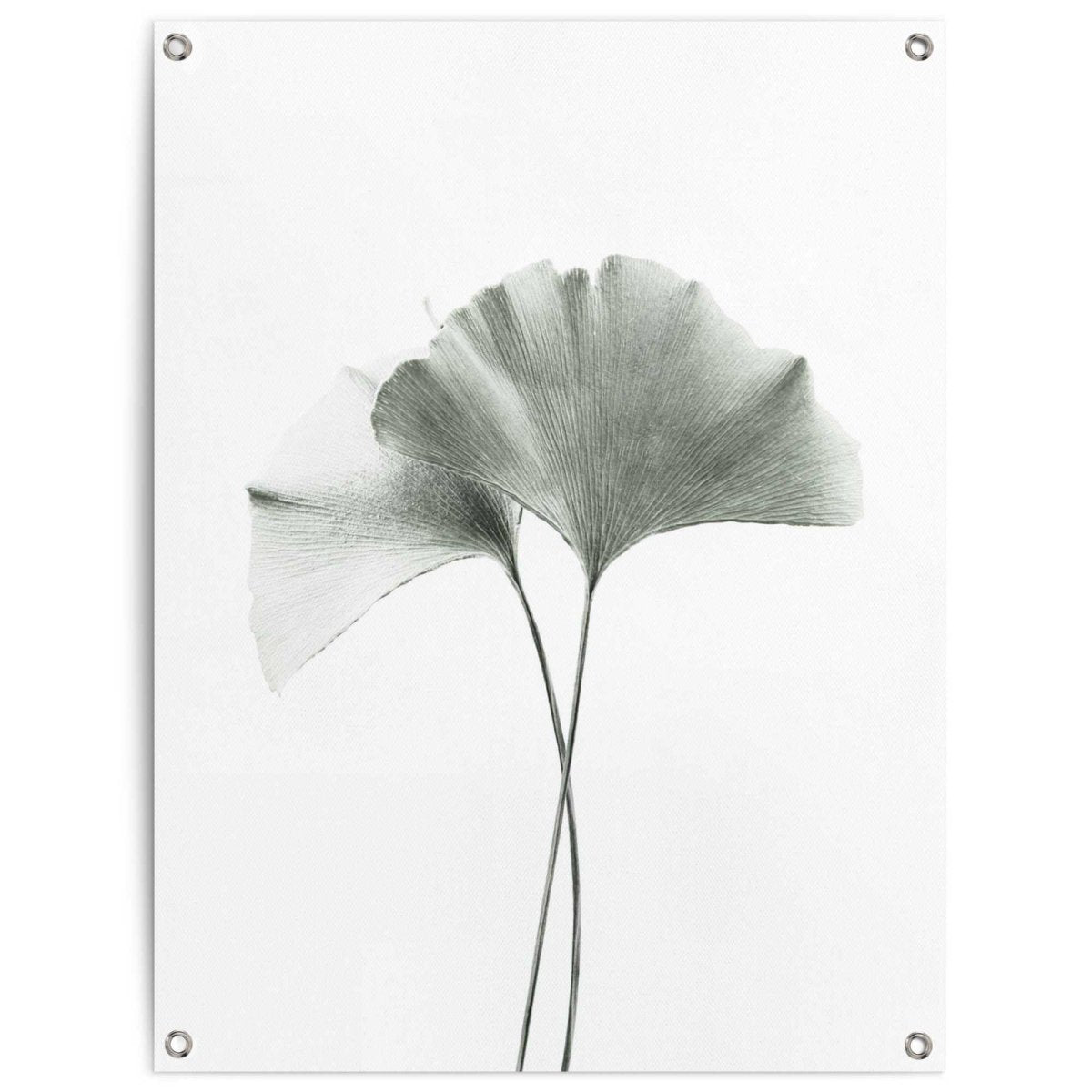 Tuinposter Ginkgo Blad 80x60 - Reinders