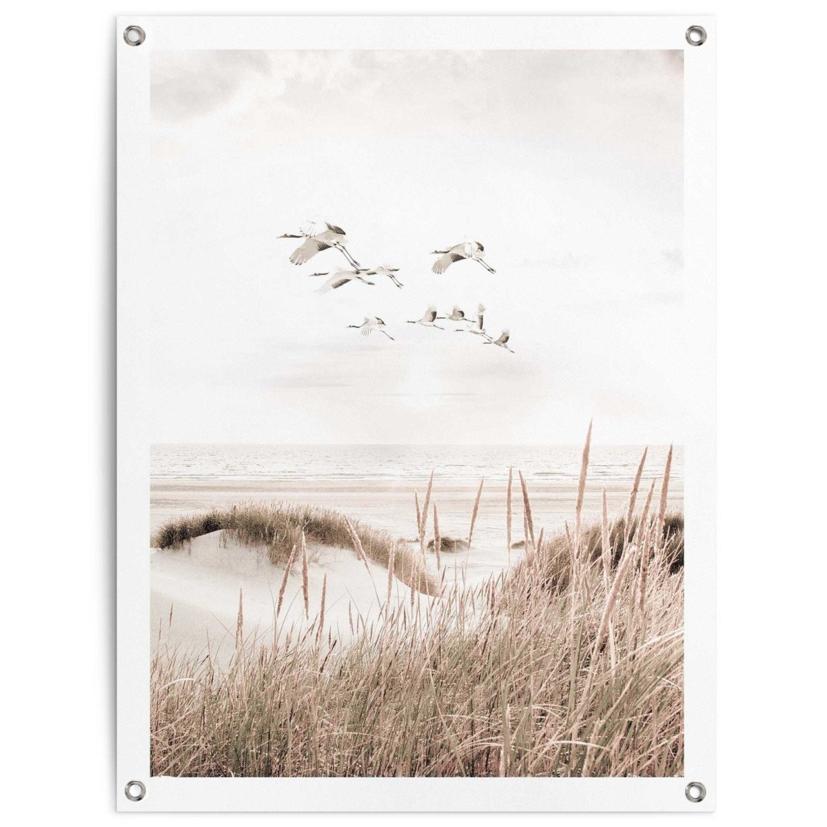 Tuinposter Kraanvogels 80x60 - Reinders