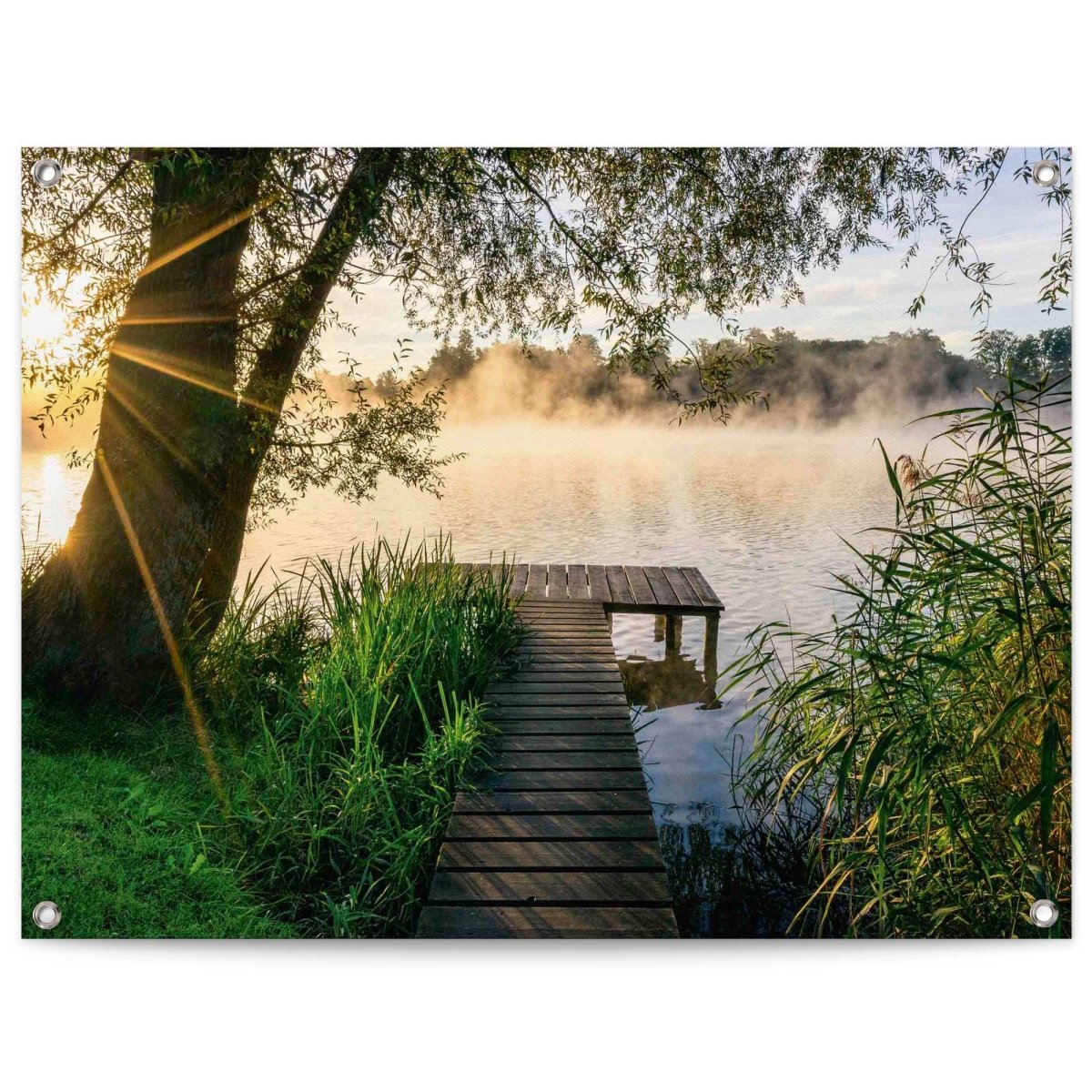 Tuinposter Morgenstond 60x80 - Reinders