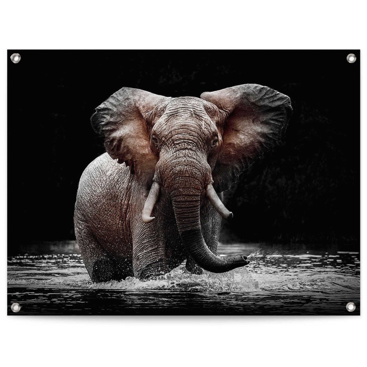 Tuinposter Olifant 60x80 - Reinders