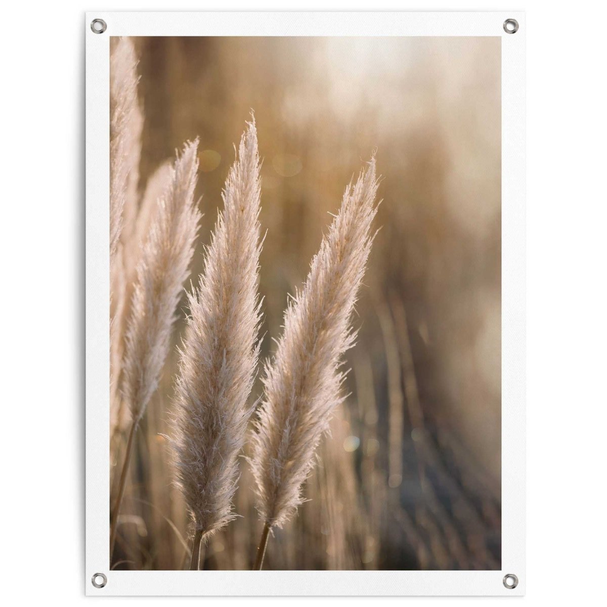 Tuinposter Pampas 80x60 - Reinders