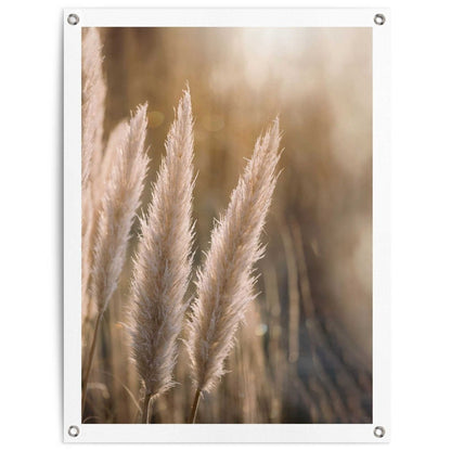 Tuinposter Pampas 80x60 - Reinders