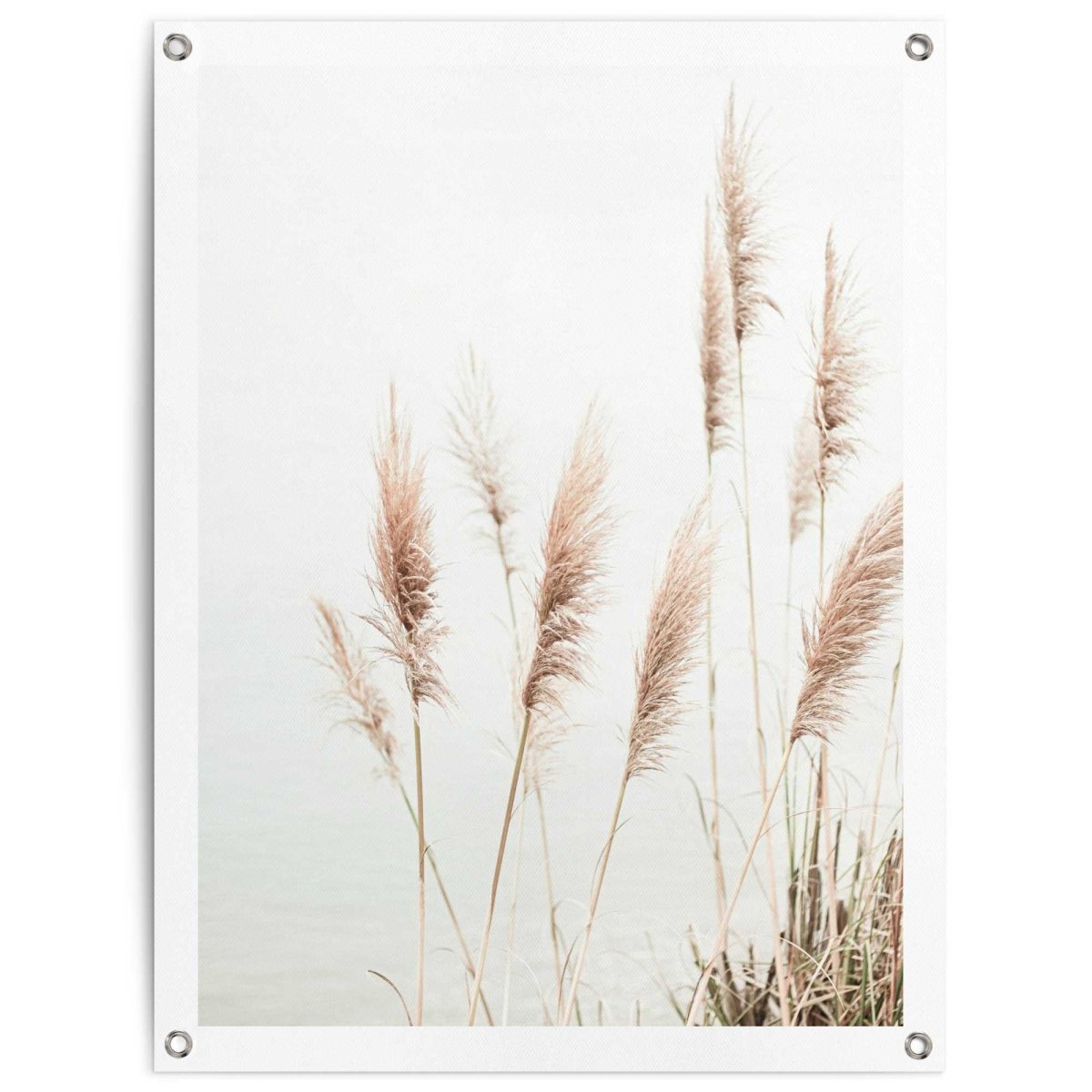 Tuinposter Pampas 80x60 - Reinders