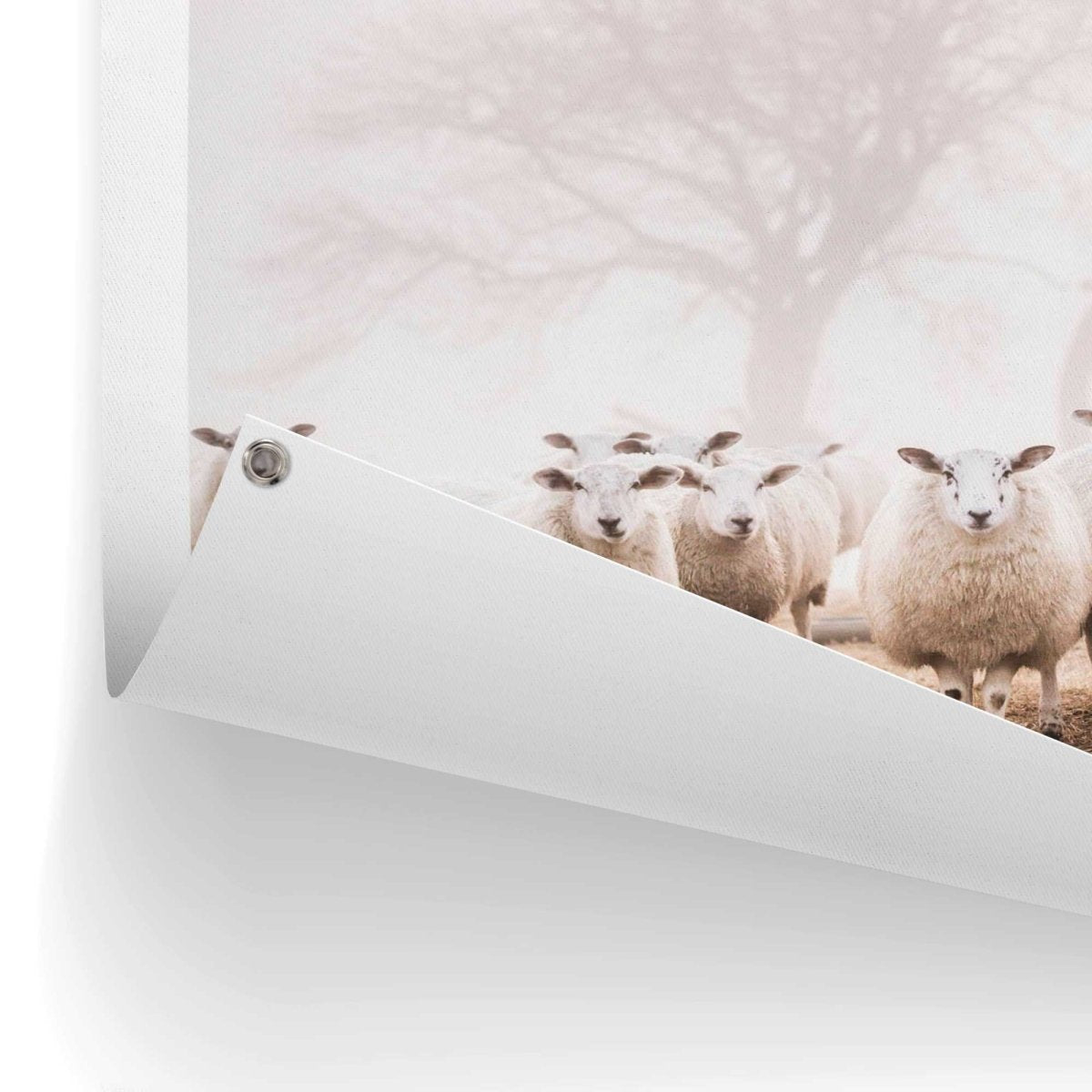 Tuinposter Schaap in de mist 80x60 - Reinders