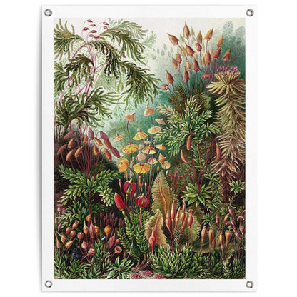 Tuinposter Sea Flora 80x60 - Reinders