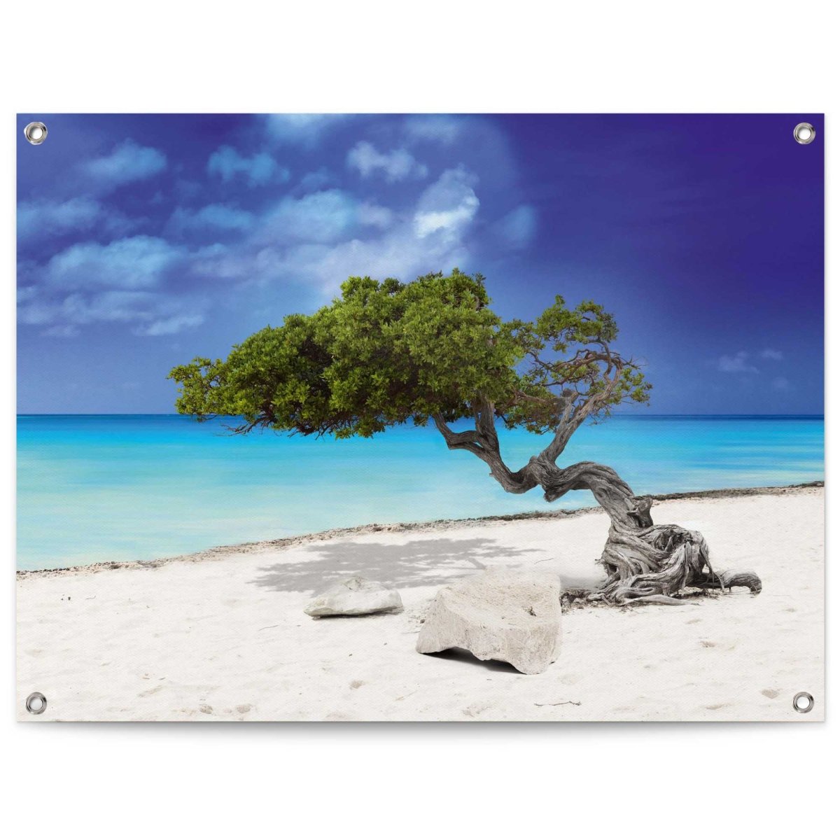 Tuinposter Tropisch Eiland 60x80 - Reinders