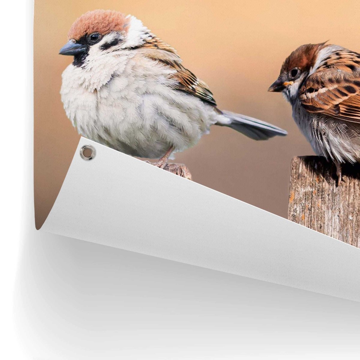 Tuinposter Vogels 60x80 - Reinders