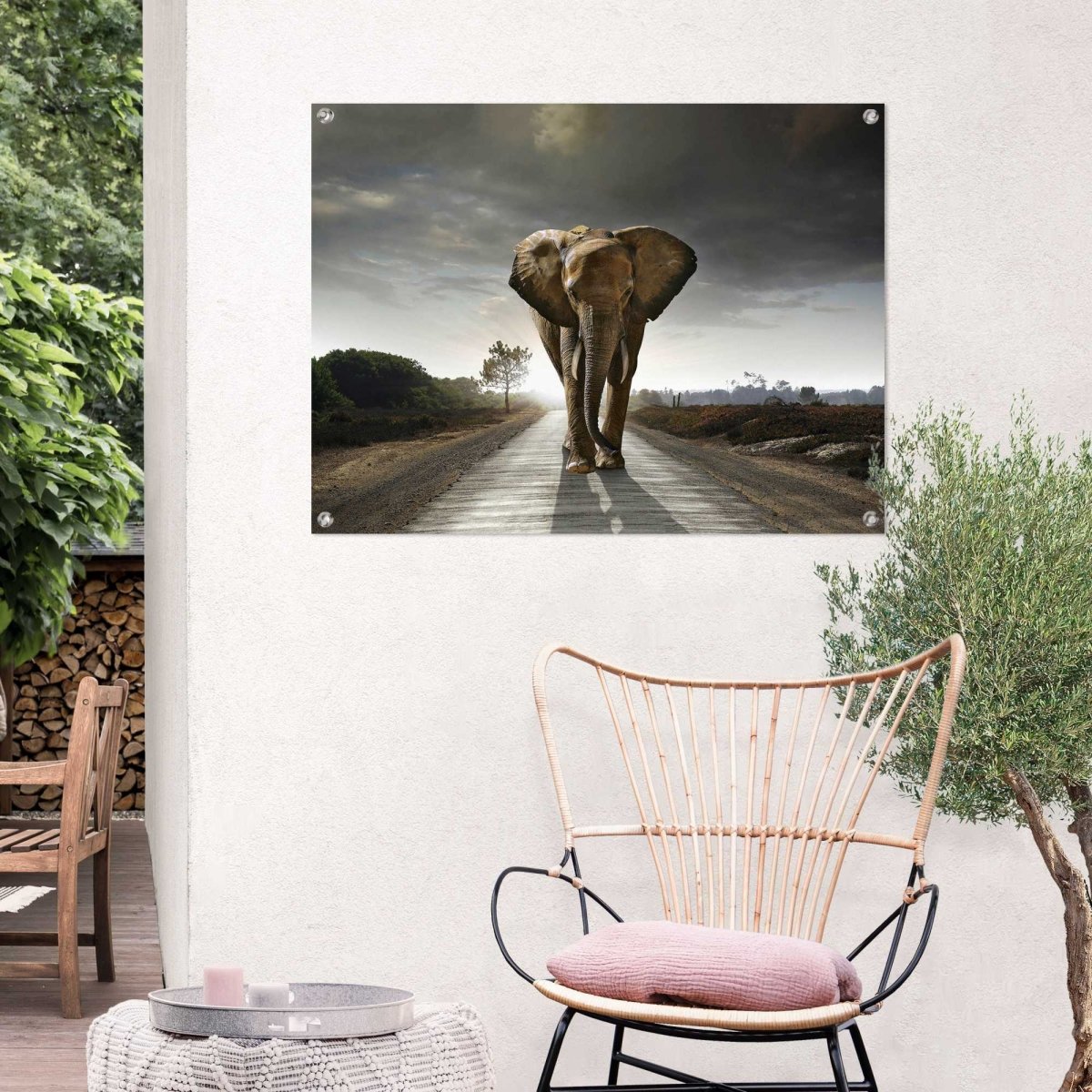 Tuinposter Wandelende olifant 60x80 - Reinders