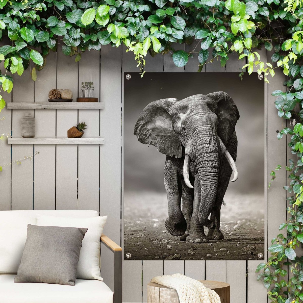 Tuinposter Wandelende olifant 80x60 - Reinders