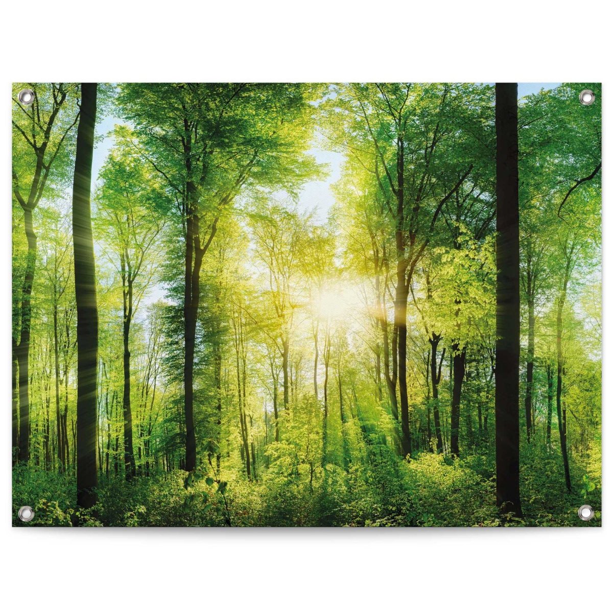 Tuinposter Zomer bos 60x80 - Reinders