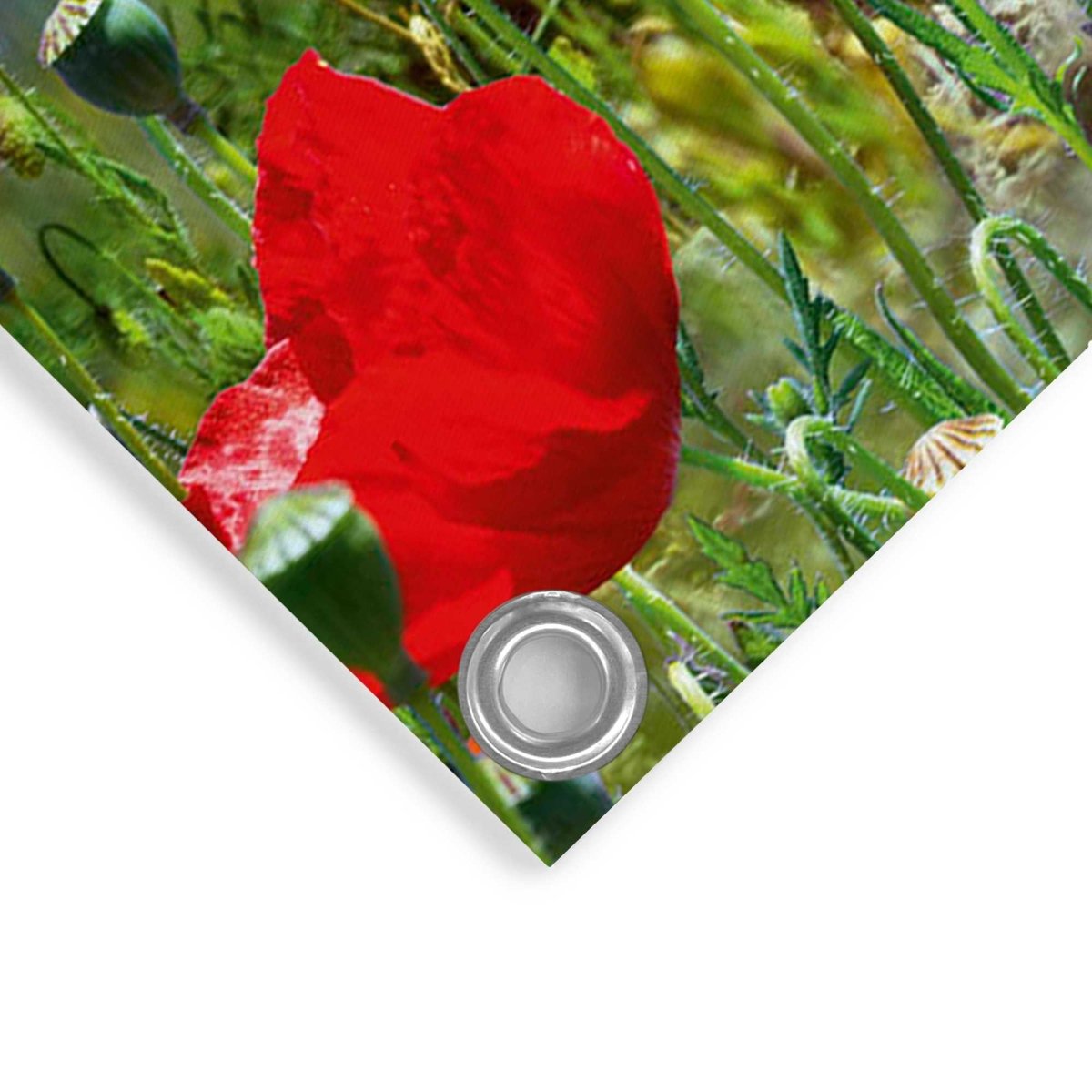 Tuinposter Zomerbloemen 60x80 - Reinders