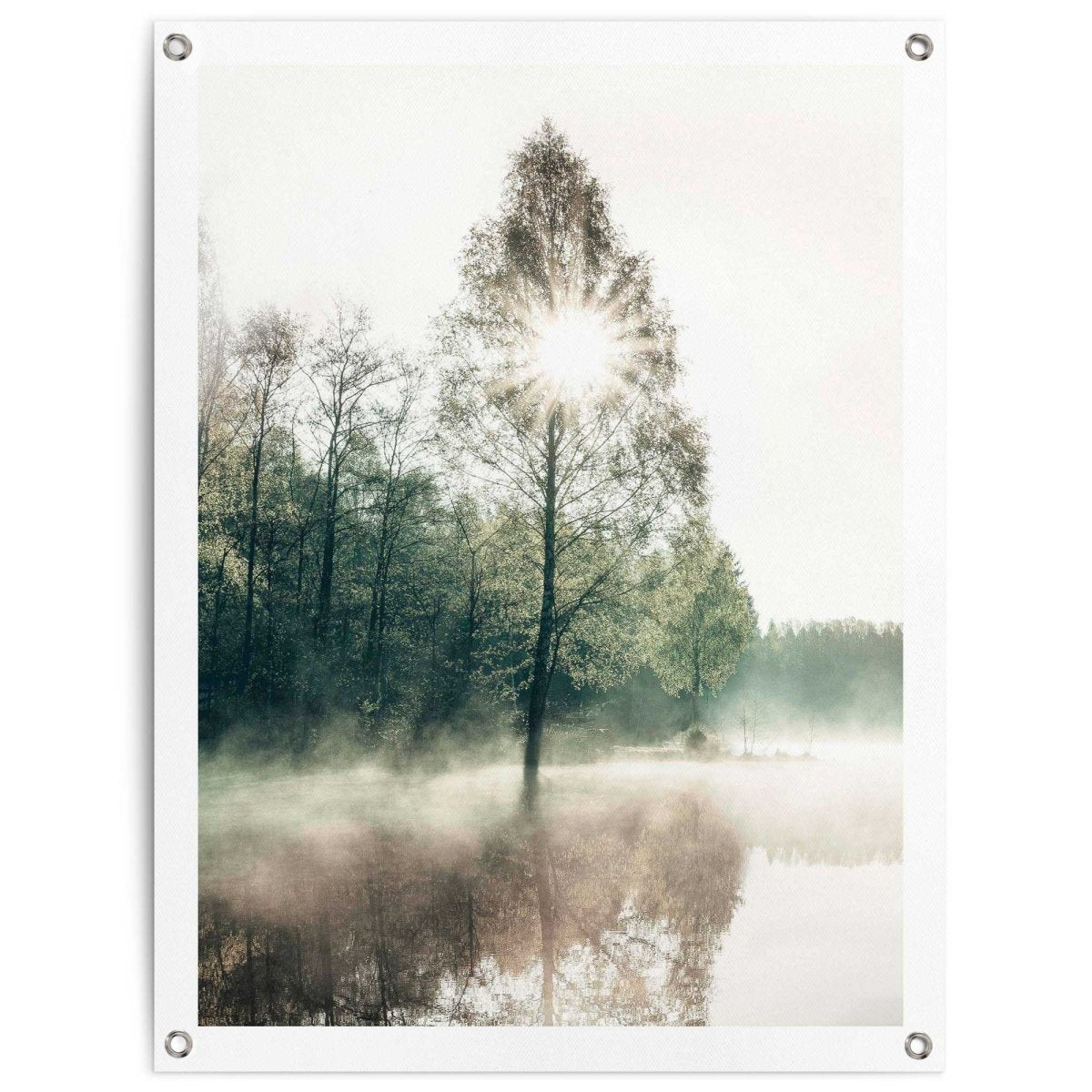 Tuinposter Zon door de bomen 80x60 - Reinders