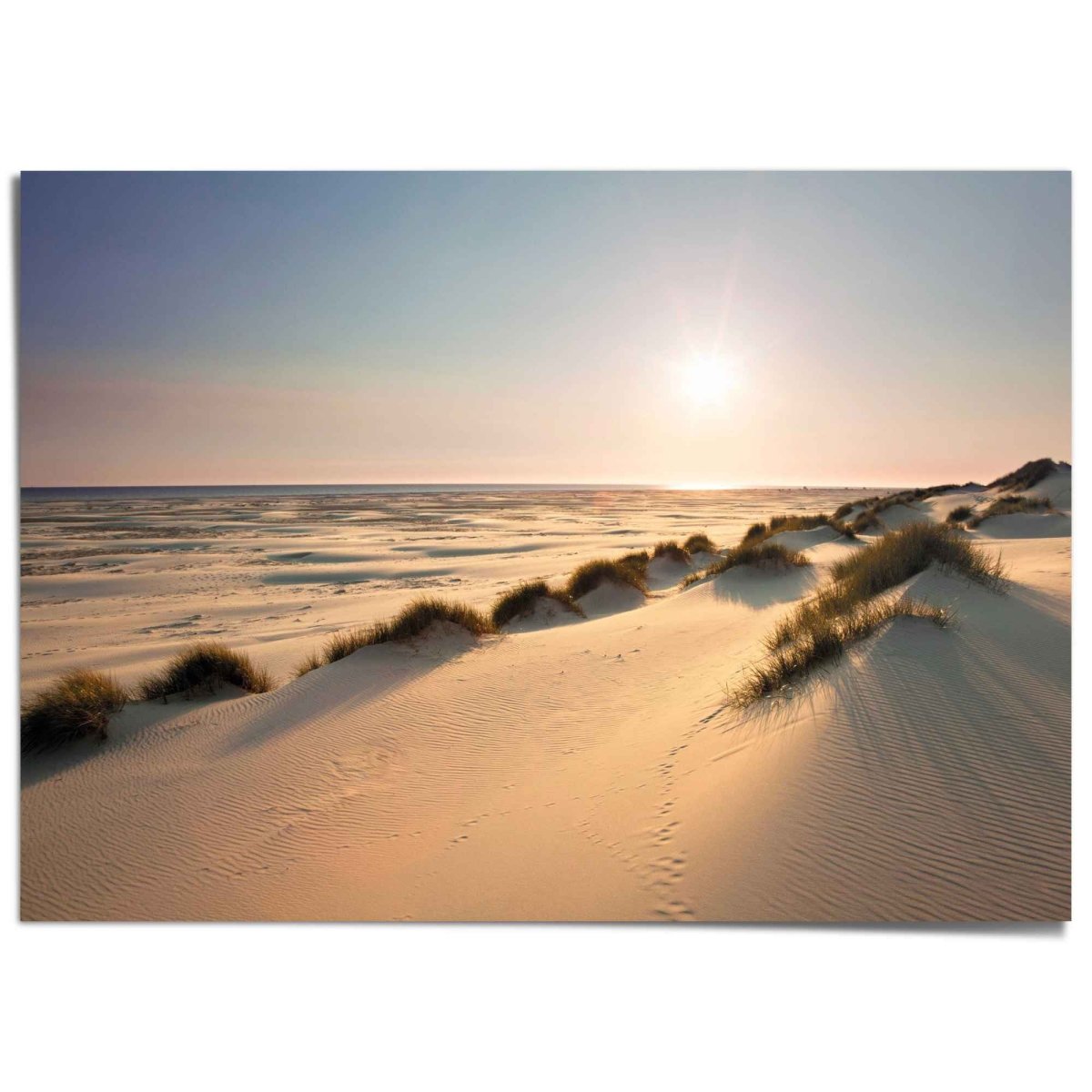 XXL Poster Noordzee duinen 100x140 - Reinders