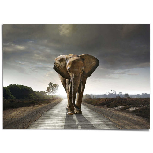 XXL Poster Wandelende olifant 100x140